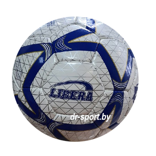 Мяч футзал Libera №4 401