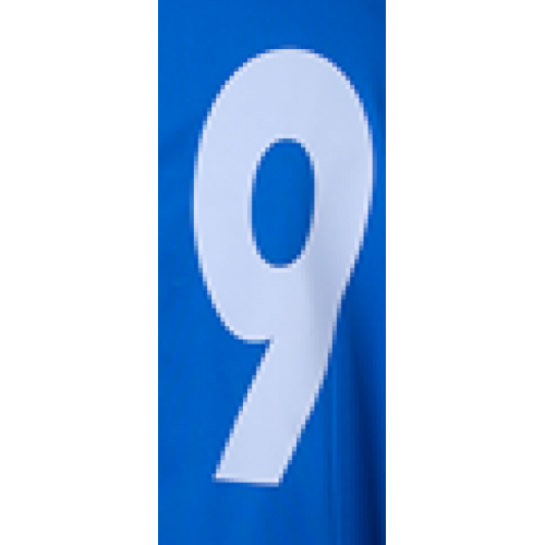 Номер наклейка Ayoun 1609