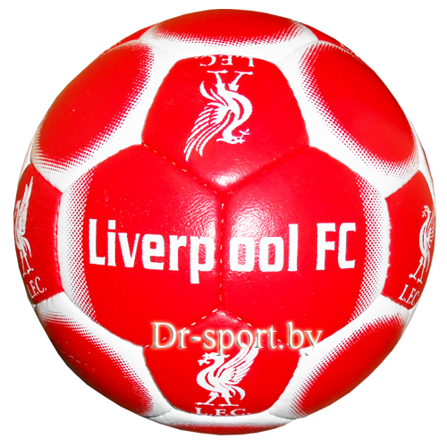 Мяч футбольный Ayoun 5 №5