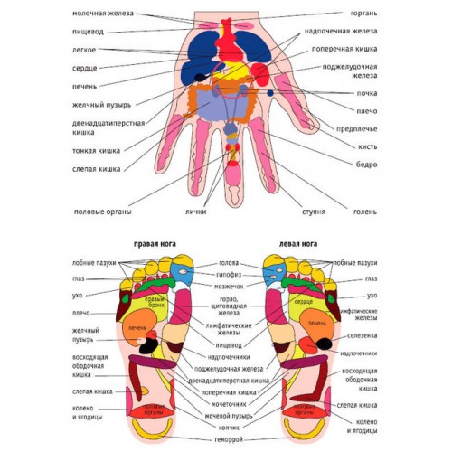 Массажер Рефлекс